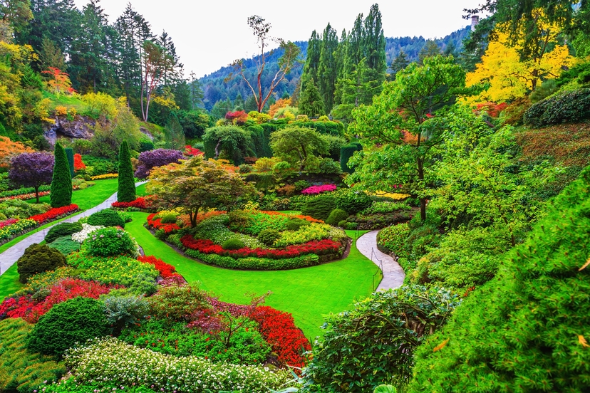 https://res.cloudinary.com/see-sight-tours/image/upload/v1581435171/butchart-gardens.jpg