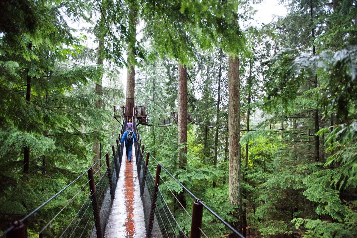 Capilano Suspension Bridge Summer