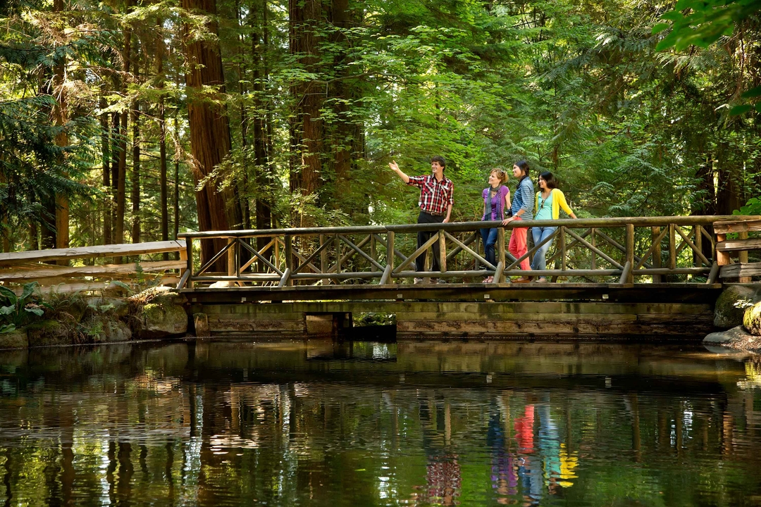 Capilano Suspension Bridge Park