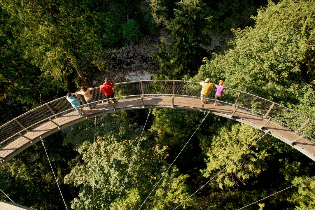 https://res.cloudinary.com/see-sight-tours/image/upload/v1581434194/Cliffwalk-overhead.jpg